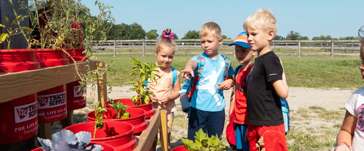 Kids learning about plants at Camp
