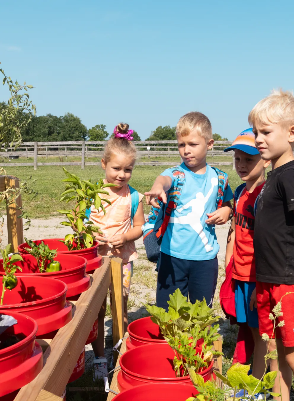 Kids learning about plants at Camp