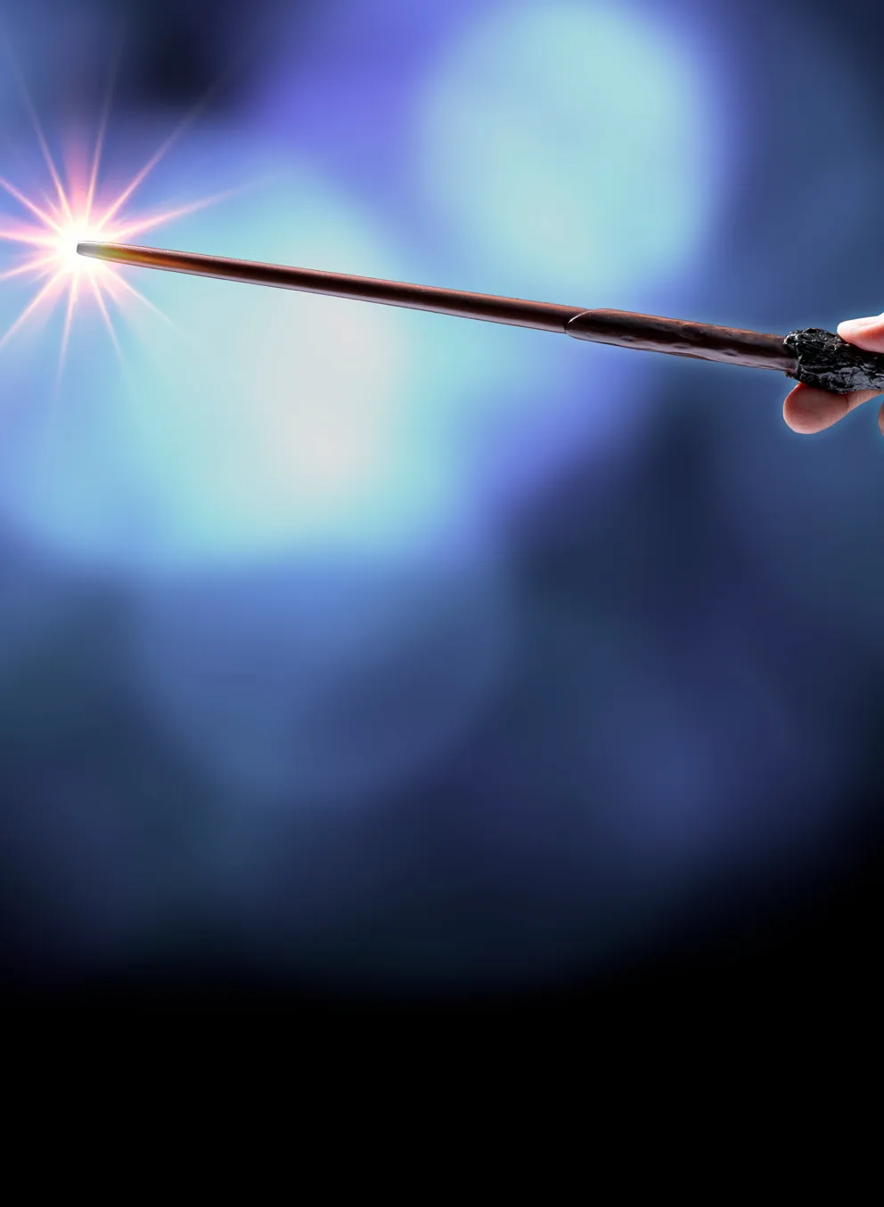 A wand from Harry Potter