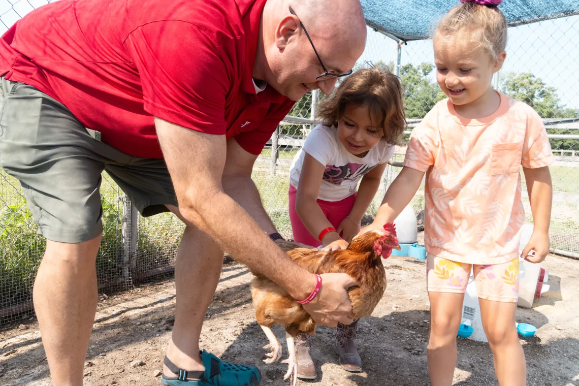 Kids petting a chicken